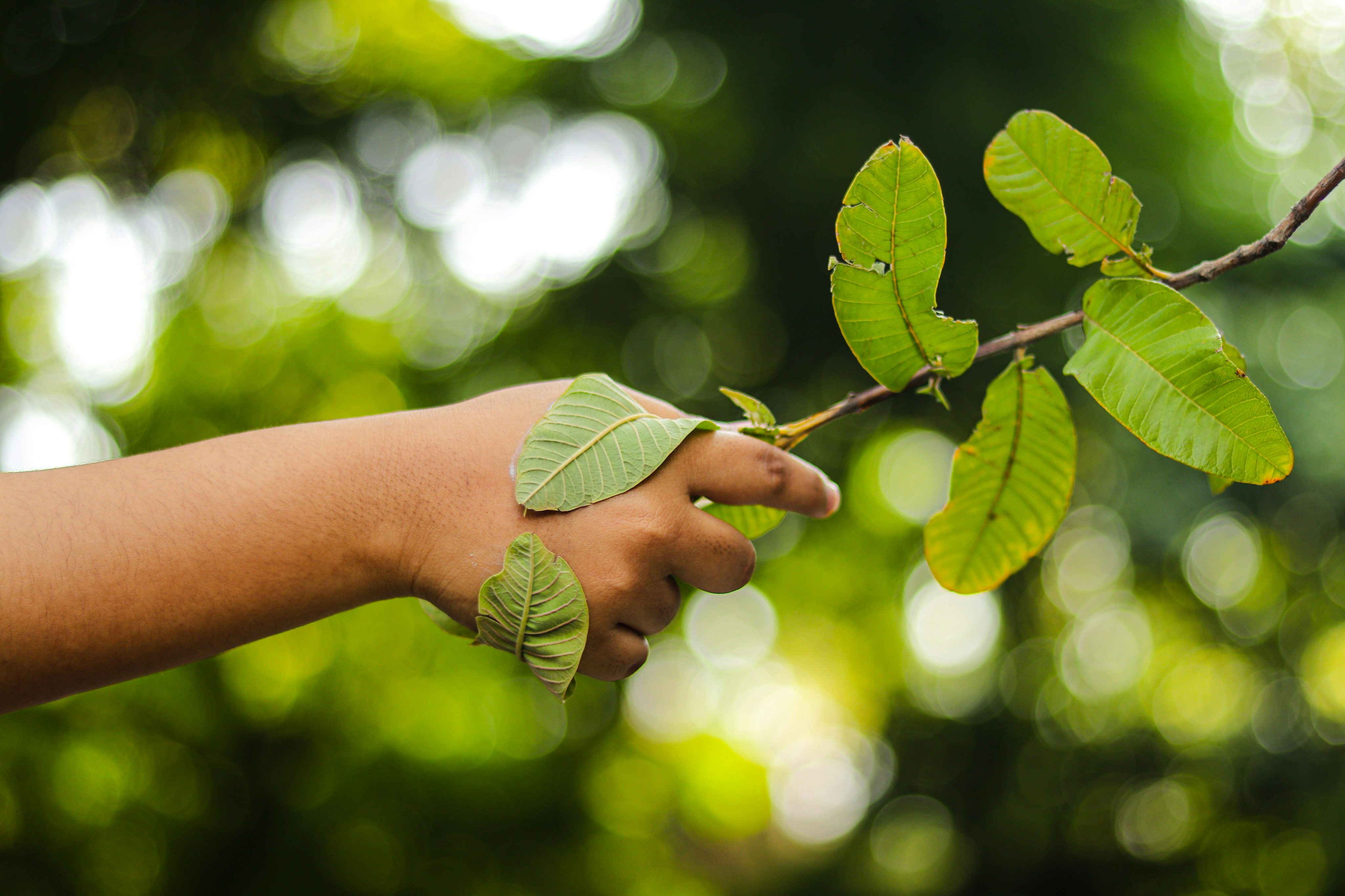 Klimaschutz und soziale Gerechtigkeit